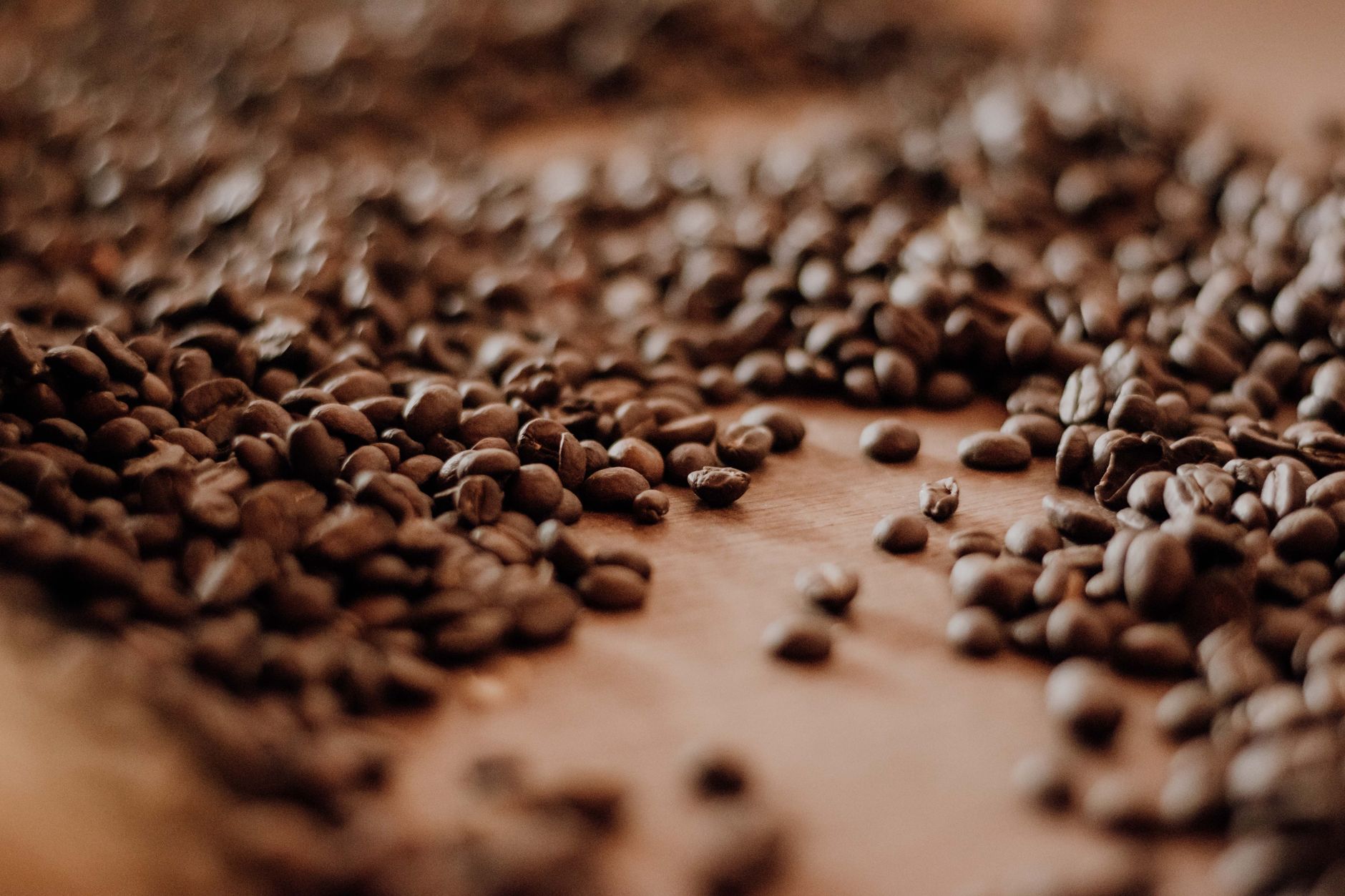 Coffee Tour Chicoj