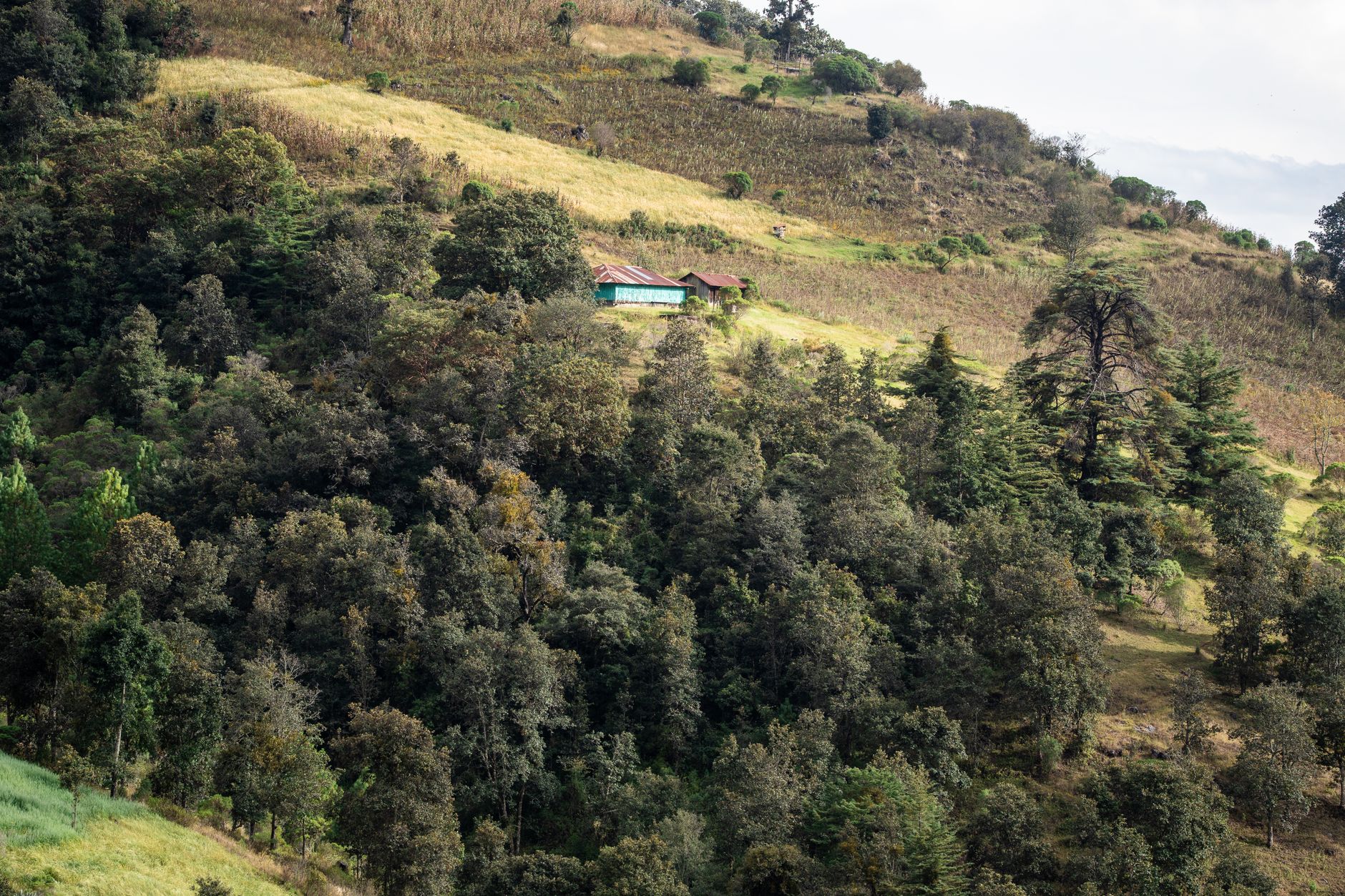 Finca Filadelfia