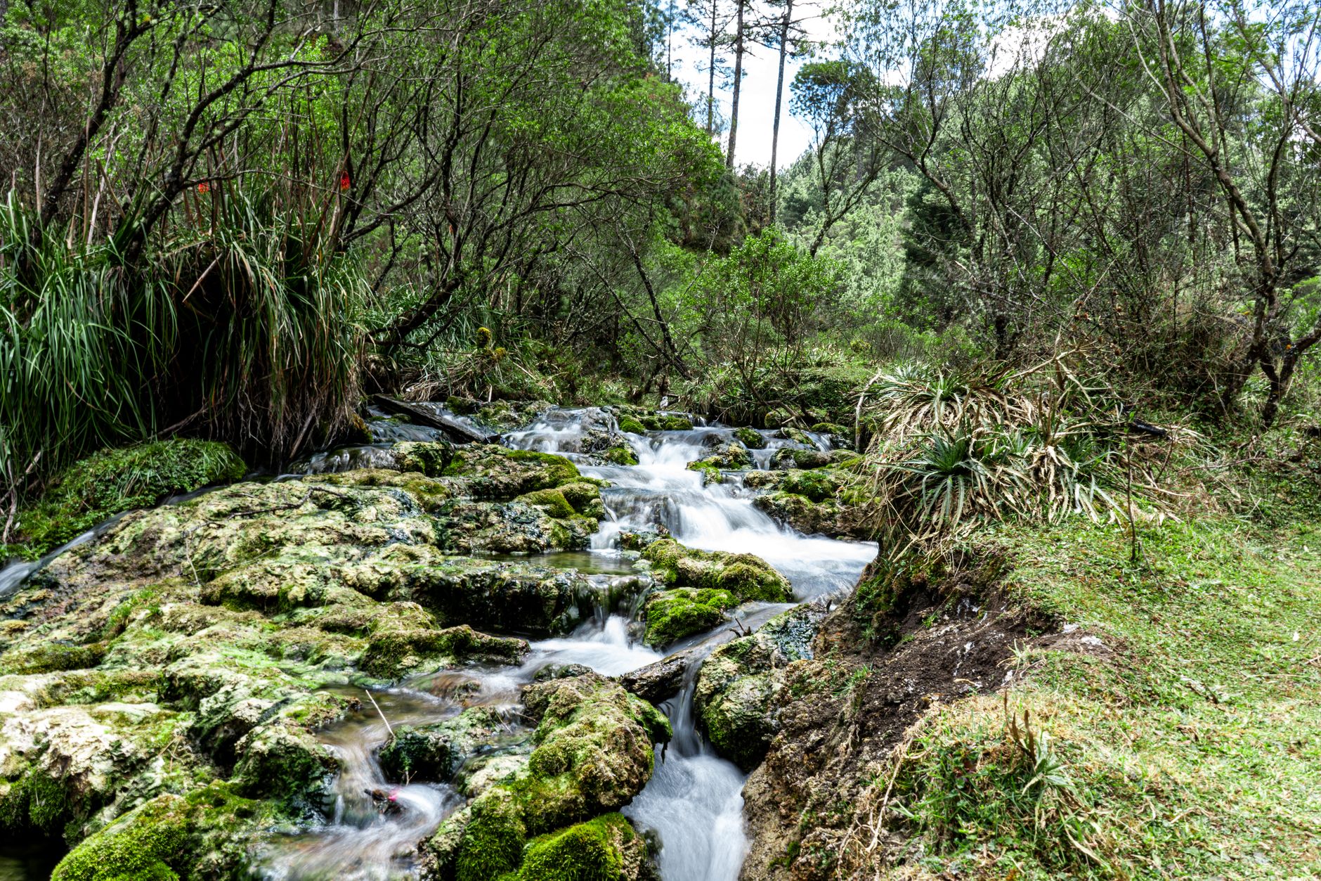 Las Verapaces
