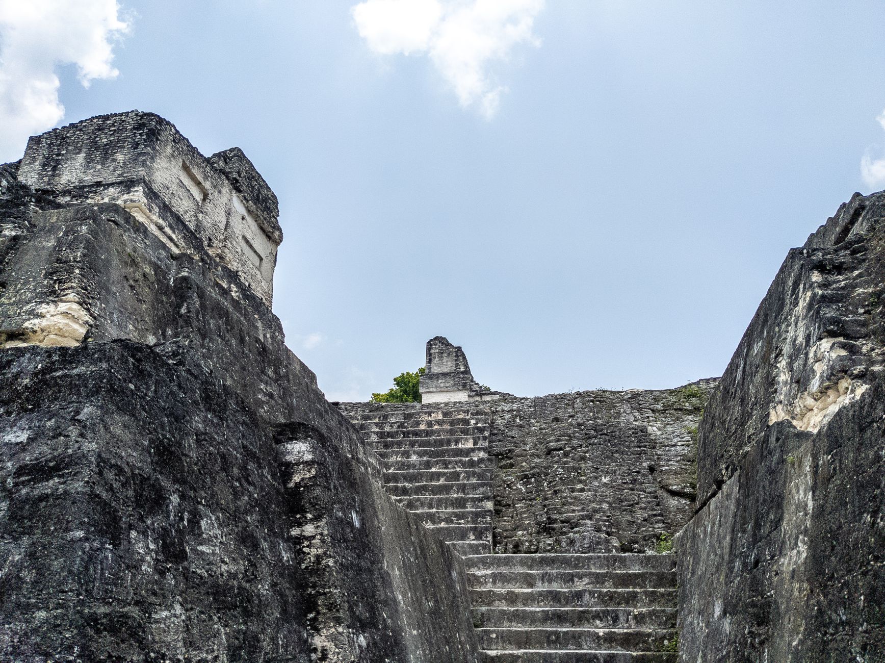 Tikal y Flores