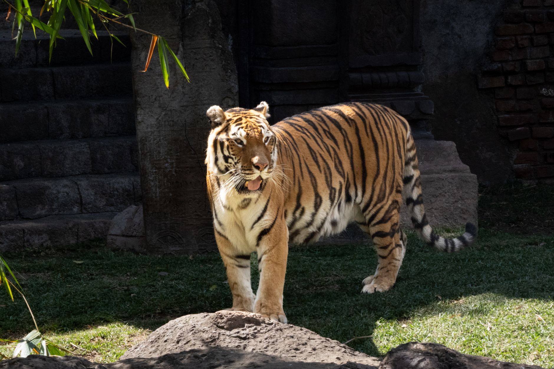 Zoológico La Aurora